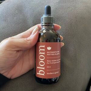 Bloom modern sprout potted plant nutrients